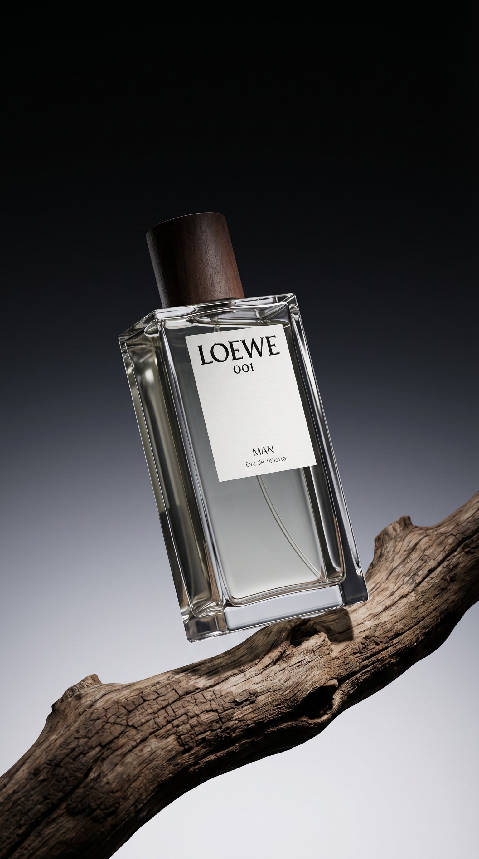 Loewe 001 Man bottle resting on weathered wood branch